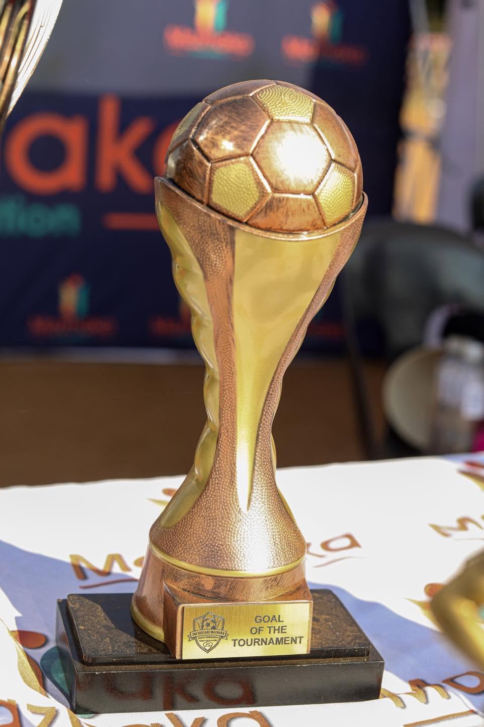 A championship cup on display